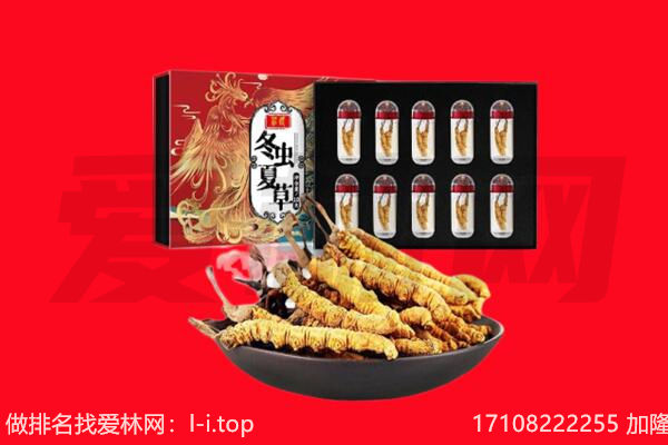 阜新海州区回收虫草.jpg
